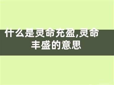 什么是灵命充盈,灵命丰盛的意思