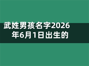 武姓男孩名字2026年6月1日出生的
