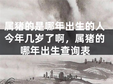 属猪的是哪年出生的人今年几岁了啊，属猪的哪年出生查询表