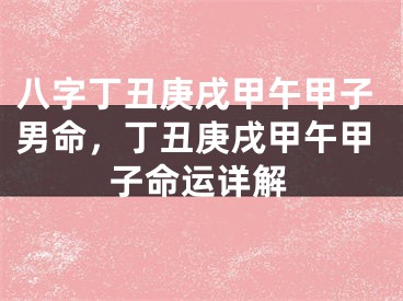 八字丁丑庚戌甲午甲子男命，丁丑庚戌甲午甲子命运详解