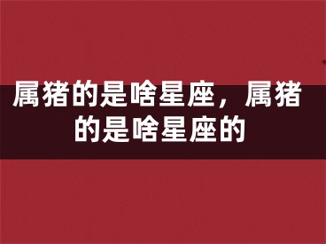 属猪的是啥星座，属猪的是啥星座的