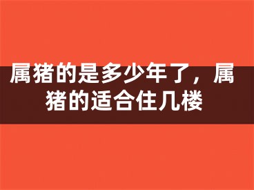 属猪的是多少年了，属猪的适合住几楼