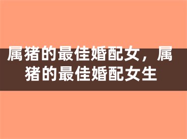 属猪的最佳婚配女，属猪的最佳婚配女生