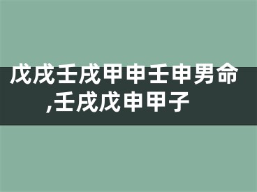 戊戌壬戌甲申壬申男命,壬戌戊申甲子