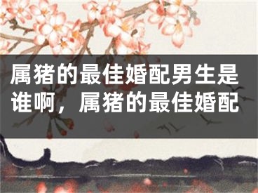 属猪的最佳婚配男生是谁啊，属猪的最佳婚配