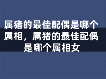 属猪的最佳配偶是哪个属相，属猪的最佳配偶是哪个属相女