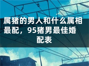 属猪的男人和什么属相最配，95猪男最佳婚配表