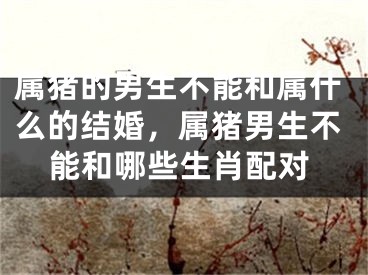 属猪的男生不能和属什么的结婚，属猪男生不能和哪些生肖配对