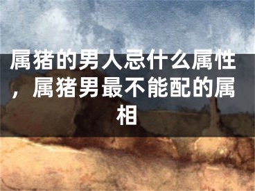 属猪的男人忌什么属性，属猪男最不能配的属相