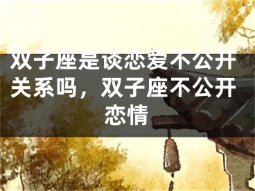 双子座是谈恋爱不公开关系吗，双子座不公开恋情