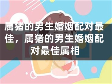 属猪的男生婚姻配对最佳，属猪的男生婚姻配对最佳属相