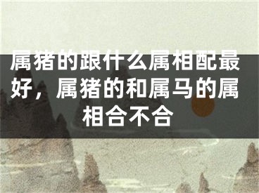 属猪的跟什么属相配最好，属猪的和属马的属相合不合