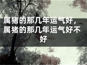 属猪的那几年运气好，属猪的那几年运气好不好