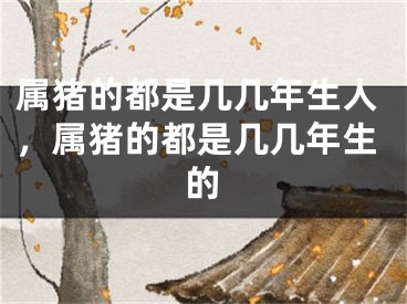 属猪的都是几几年生人，属猪的都是几几年生的