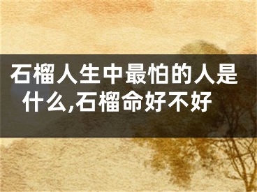 石榴人生中最怕的人是什么,石榴命好不好