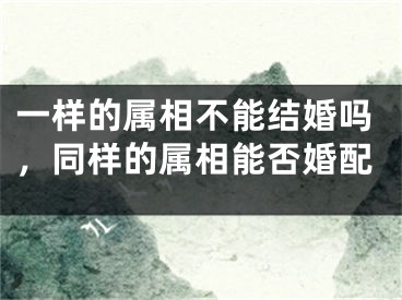 一样的属相不能结婚吗，同样的属相能否婚配