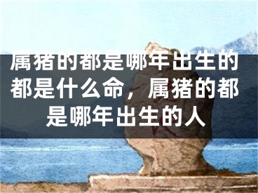 属猪的都是哪年出生的都是什么命，属猪的都是哪年出生的人