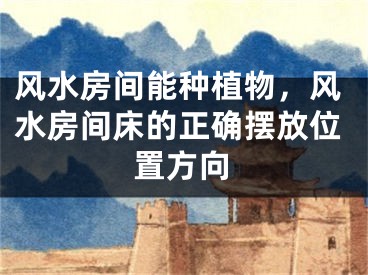 风水房间能种植物,风水房间床的正确摆放位置方向