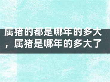 属猪的都是哪年的多大，属猪是哪年的多大了