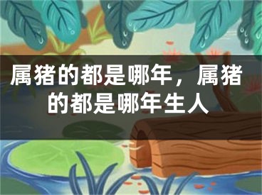 属猪的都是哪年，属猪的都是哪年生人