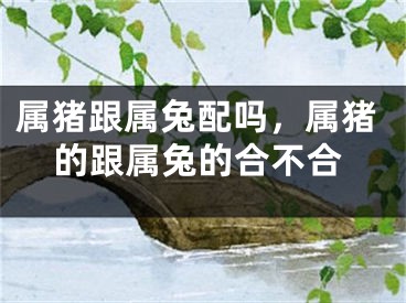 属猪跟属兔配吗，属猪的跟属兔的合不合