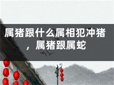 属猪跟什么属相犯冲猪，属猪跟属蛇