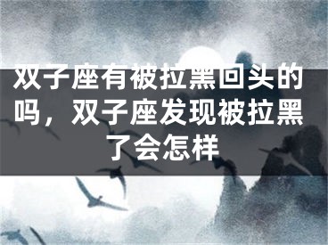 双子座有被拉黑回头的吗，双子座发现被拉黑了会怎样