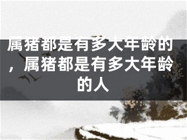 属猪都是有多大年龄的，属猪都是有多大年龄的人
