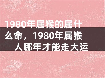 1980年属猴的属什么命，1980年属猴人哪年才能走大运