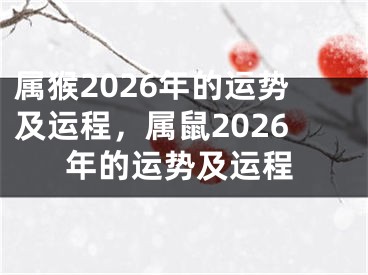 属猴2026年的运势及运程,属鼠2026年的运势及运程