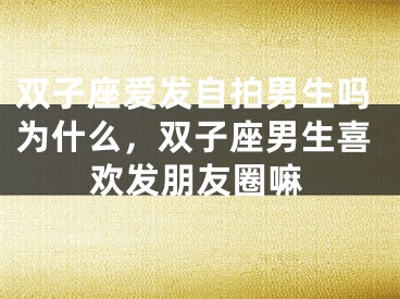 双子座爱发自拍男生吗为什么，双子座男生喜欢发朋友圈嘛