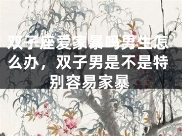 双子座爱家暴吗男生怎么办，双子男是不是特别容易家暴