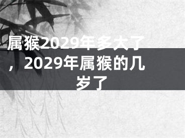 属猴2029年多大了，2029年属猴的几岁了
