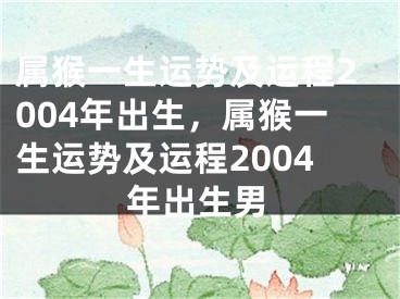 属猴一生运势及运程2004年出生，属猴一生运势及运程2004年出生男