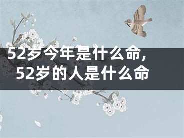 52岁今年是什么命,52岁的人是什么命