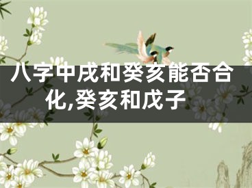 八字中戌和癸亥能否合化,癸亥和戊子