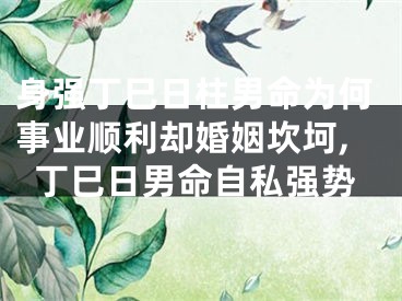 身强丁巳日柱男命为何事业顺利却婚姻坎坷,丁巳日男命自私强势