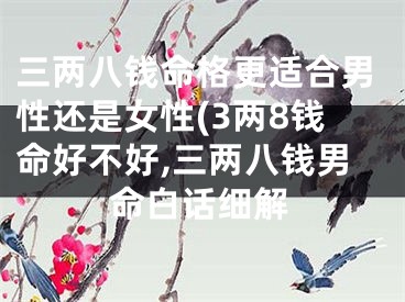 三两八钱命格更适合男性还是女性(3两8钱命好不好,三两八钱男命白话细解