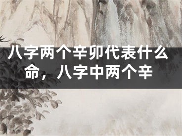 八字两个辛卯代表什么命，八字中两个辛