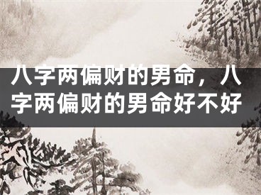 八字两偏财的男命，八字两偏财的男命好不好