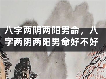 八字两阴两阳男命，八字两阴两阳男命好不好