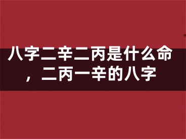 八字二辛二丙是什么命，二丙一辛的八字