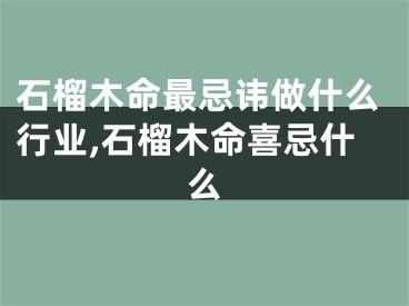 石榴木命最忌讳做什么行业,石榴木命喜忌什么
