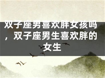 双子座男喜欢胖女孩吗，双子座男生喜欢胖的女生