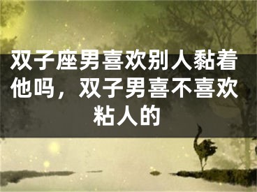 双子座男喜欢别人黏着他吗,双子男喜不喜欢粘人的