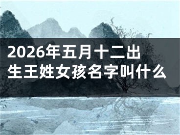 2026年五月十二出生王姓女孩名字叫什么