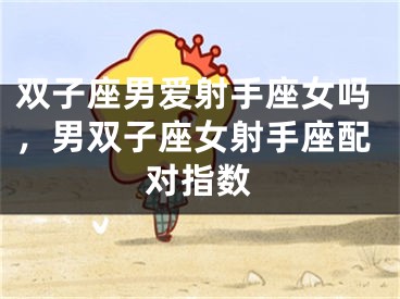 双子座男爱射手座女吗，男双子座女射手座配对指数