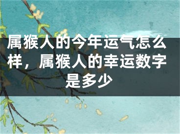属猴人的今年运气怎么样，属猴人的幸运数字是多少