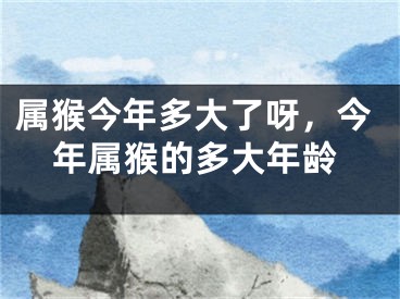 属猴今年多大了呀，今年属猴的多大年龄