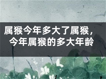 属猴今年多大了属猴，今年属猴的多大年龄